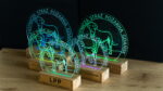 Statuetka z grawerem (LED) - obrazek 2