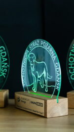 Statuetka z grawerem (LED) - obrazek 3