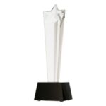 Statuetka szklana z etui C081