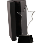 Trofeum szklane z etui C035 [10,5x25cm]