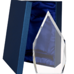 Trofeum szklane z etui C073