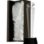 Trofeum szklane z etui C077