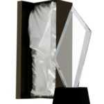 Trofeum szklane z etui C079